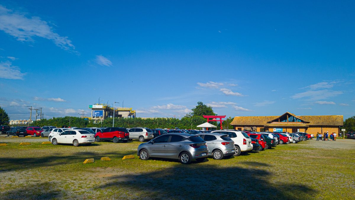 Carros estacionados em estacionamento aberto em dia de sol